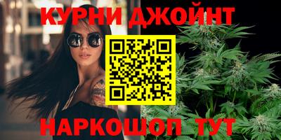 крисы Будённовск