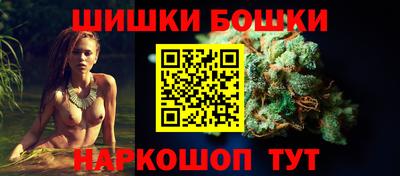 крисы Будённовск