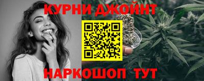 крисы Будённовск