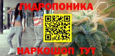 крисы Будённовск