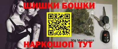 крисы Будённовск