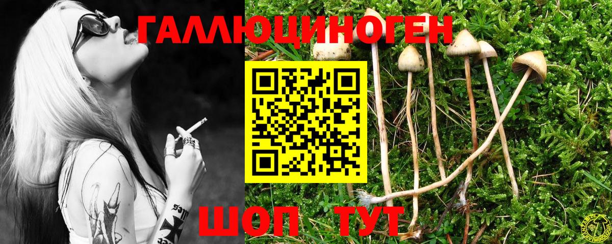 Заринск  Галлюциногенные грибы Cubensis  Галлюциногенные грибы Cubensis  Вход с VPN 