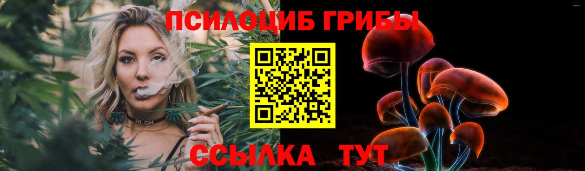 Псилоцибиновые грибы Cubensis Заринск